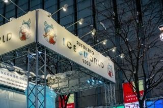 JET Programme Series: Sapporo Snow Festival - David Ramgobin
