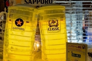 JET Programme Series: Sapporo Snow Festival - David Ramgobin