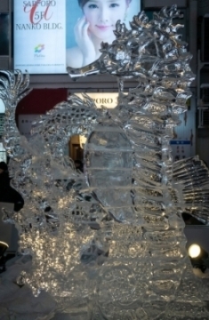 JET Programme Series: Sapporo Snow Festival - David Ramgobin