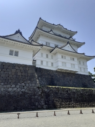 JET Programme Series: Odawara Castle, Kanagawa Prefecture - Christenne Lyons