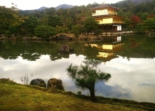 JET Programme Series: Kyoto - One of the most majestic places i have ever visited - Annika Mohammed