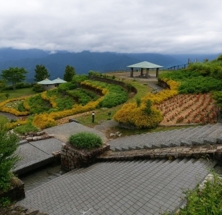 JET Programme Series: From the Mountains of Reihoku to the Beaches of Shimanto, Kochi - Adanna Simon