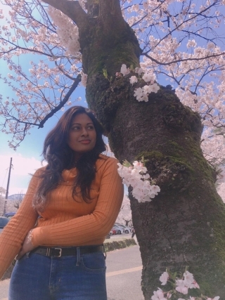 JET Programme Series: Cherry Blossoms in Niigata Prefecture - Shanisa Sabdarali