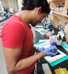 MEXT Scholarship Series: Research at the Infection Biology (Bacteriology) lab - Bobby Sookhoo