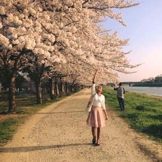 Friends of Japan Series: What a wonder... - Brittney Alonzo-Simon