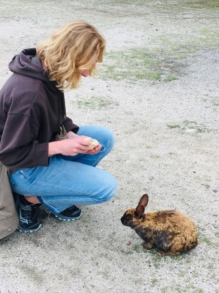 Friends of Japan Series: Rabbit Island - Zaynab Nakhid