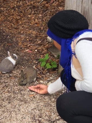 Friends of Japan Series: Rabbit Island - Zaynab Nakhid