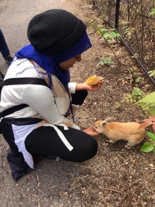 Friends of Japan Series: Rabbit Island - Zaynab Nakhid
