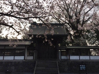 Friends of Japan Series: Japanese Shrines - Zaynab Nakhid