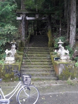 JET Programme Series: Motoyama-cho, Kochi Prefecture - Adanna Simon