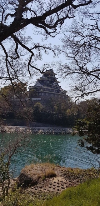 JET Programme Series: Spring Anime feels from Okayama - Sharon Dolabaille