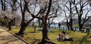 JET Programme Series: Spring Anime feels from Okayama - Sharon Dolabaille