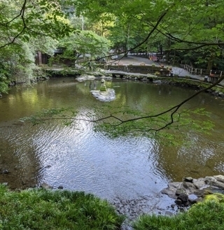 JET Programme Series: Takachiho Gorge - Quinlan Fletcher