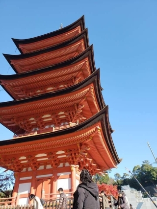 JET Programme Series: Hiroshima Visit - Ariel Matthews