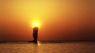 JET Programme Series: Okinoshima Fire - Ariel Matthews