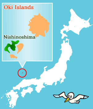 JET Programme Series: Okinoshima Fire - Ariel Matthews