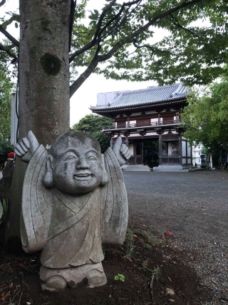 JET Programme Series: JET in Oita City - Paul Hadden
