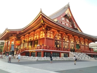 JET Programme Series: One Year in Japan - Michelle Amoroso