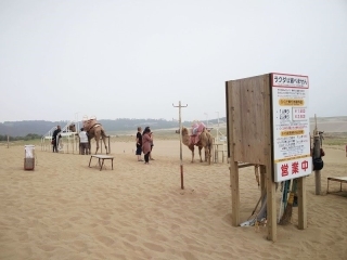 JET Programme Series: Tottori - an incredible little gem - Annika Mohammed