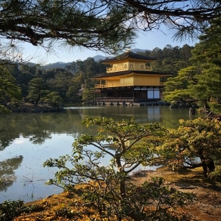 JET Programme Series: A Quiet Life in the Japanese Inaka - Tikira Beresford