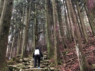 JET Programme Series: Hiking up Mt. Hikos, Fukuoka - Amanda Goberdhan