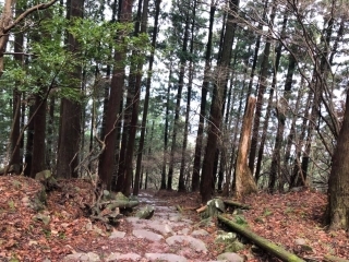 JET Programme Series: Hiking up Mt. Hikos, Fukuoka - Amanda Goberdhan