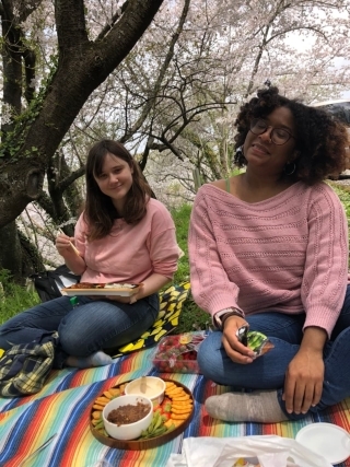 JET Programme Series: Enjoying the Hanami season in Ehime Prefecture - Apphia Pereira
