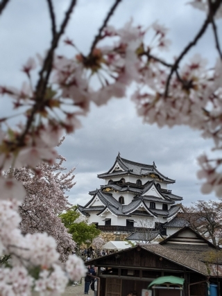 JET Programme Series: Exploring Lake Biwa, Shiga Prefecture - Rochelle Lee Ling