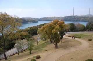 Friends of Japan Series: There and Back Again…a few times: A JET Story Part 1 B - Laurence Inniss