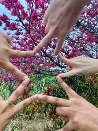 JET Programme Series: Sakura season in southern Japan - Samantha Samlal