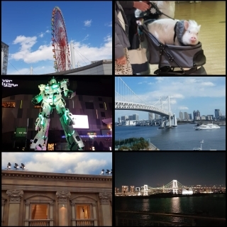 JET Programme Series: Tokyo Tales - Chantelle Ragoonath