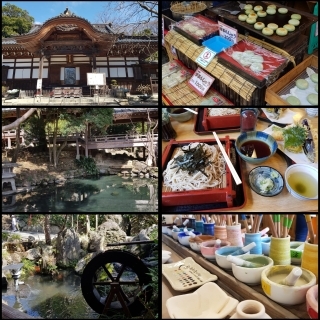 JET Programme Series: Tokyo Tales - Chantelle Ragoonath