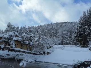 Jet Programme Series: Life in Snowy Akita - Sheanelle Pariag