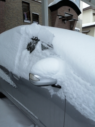 Jet Programme Series: Life in Snowy Akita - Sheanelle Pariag