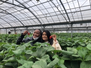 Jet Programme Series: Summer in Oita - Tasheira Khan