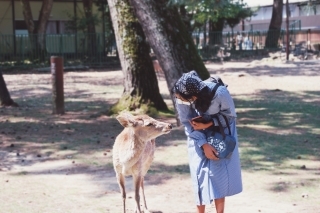 JET Programme Series: Atsui desu ne! - It’s hot right? - Danielle Jaimungal