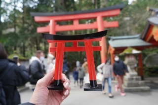 JET Programme Series: Atsui desu ne! - It’s hot right? - Danielle Jaimungal