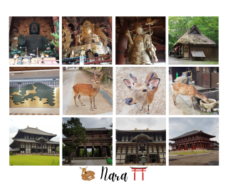 JET Programme Series: 5 Things I’ve Experienced in Japan! - Chantelle Ragoonath