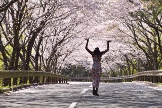 Friends of Japan Series: Countryside Gaijin - Shantal Deokie