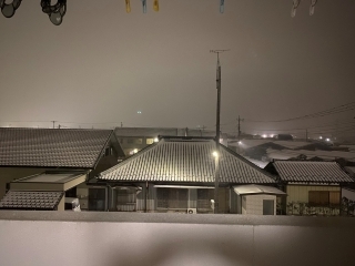 JET Programme Series: Baby’s first snow - Rhianna McKenzie