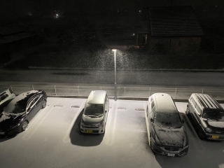 JET Programme Series: Baby’s first snow - Rhianna McKenzie