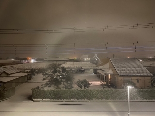 JET Programme Series: Baby’s first snow - Rhianna McKenzie