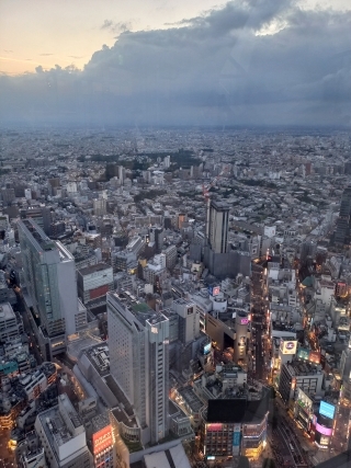 JET Programme Series: My Tokyo World - Krizia Fabien