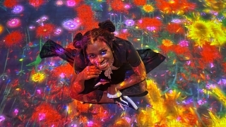 1 year on MEXT - Excited for the Future – Darey Ann Louisville