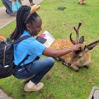 Jet Programme Series: 6 Months in Japan with many more to follow - Terri-Ann Young
