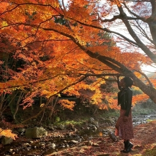 JET Programme Series: The Japan Fairy tale? - Dana Williams