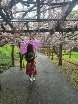 JET Programme Series: Pride and Humility: My Japan Journey - Dana Williams